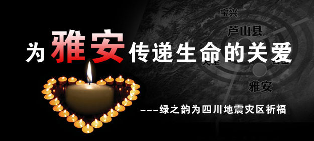 為雅安祈?！G之韻用愛心行動守護雅安人民