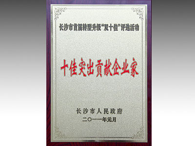 長(zhǎng)沙市十佳突出貢獻(xiàn)企業(yè)家