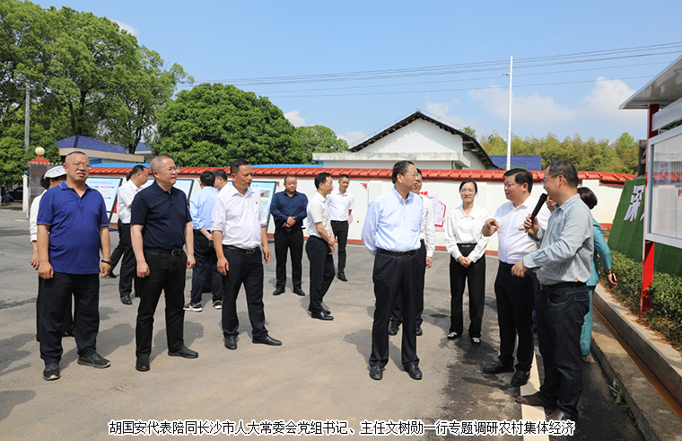 胡國安代表陪同長沙市人大常委會黨組書記、主任文樹勛一行專題調(diào)研農(nóng)村集體經(jīng)濟，助力鄉(xiāng)村振興