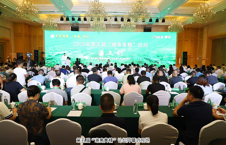 胡國(guó)安董事長(zhǎng)受邀參加第五屆“湖南黃精”論壇 共探黃精產(chǎn)業(yè)發(fā)展新路徑